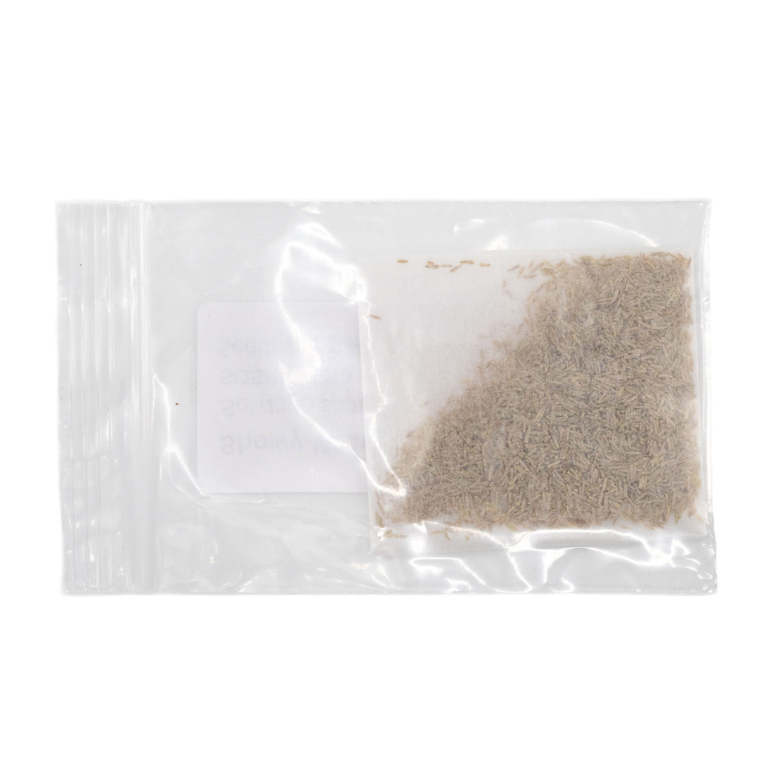 Clear plastic bag with a small amount of beige seeds on a white background