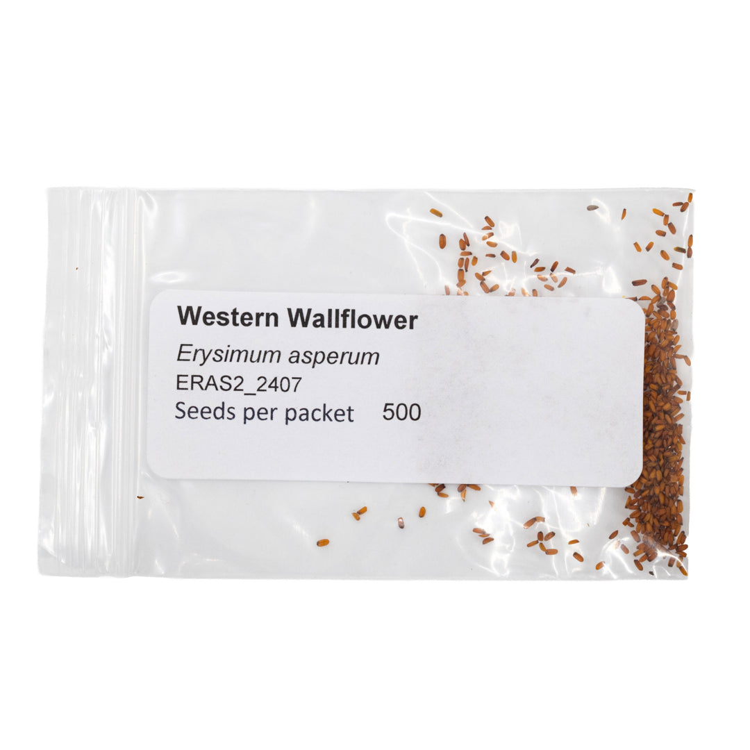 Seed packet labeled 'Western Wallflower' with visible seeds on a white background