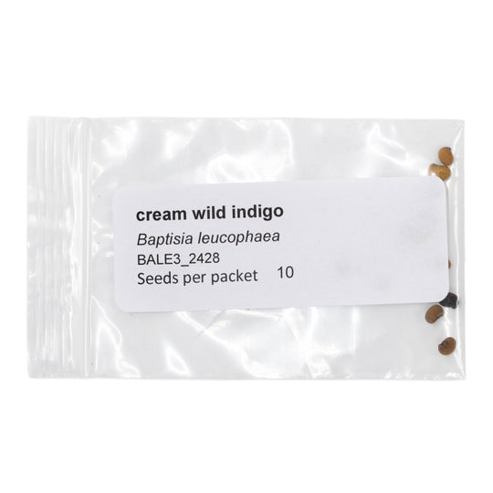 Seed packet labeled 'cream wild indigo' with seeds visible on a white background