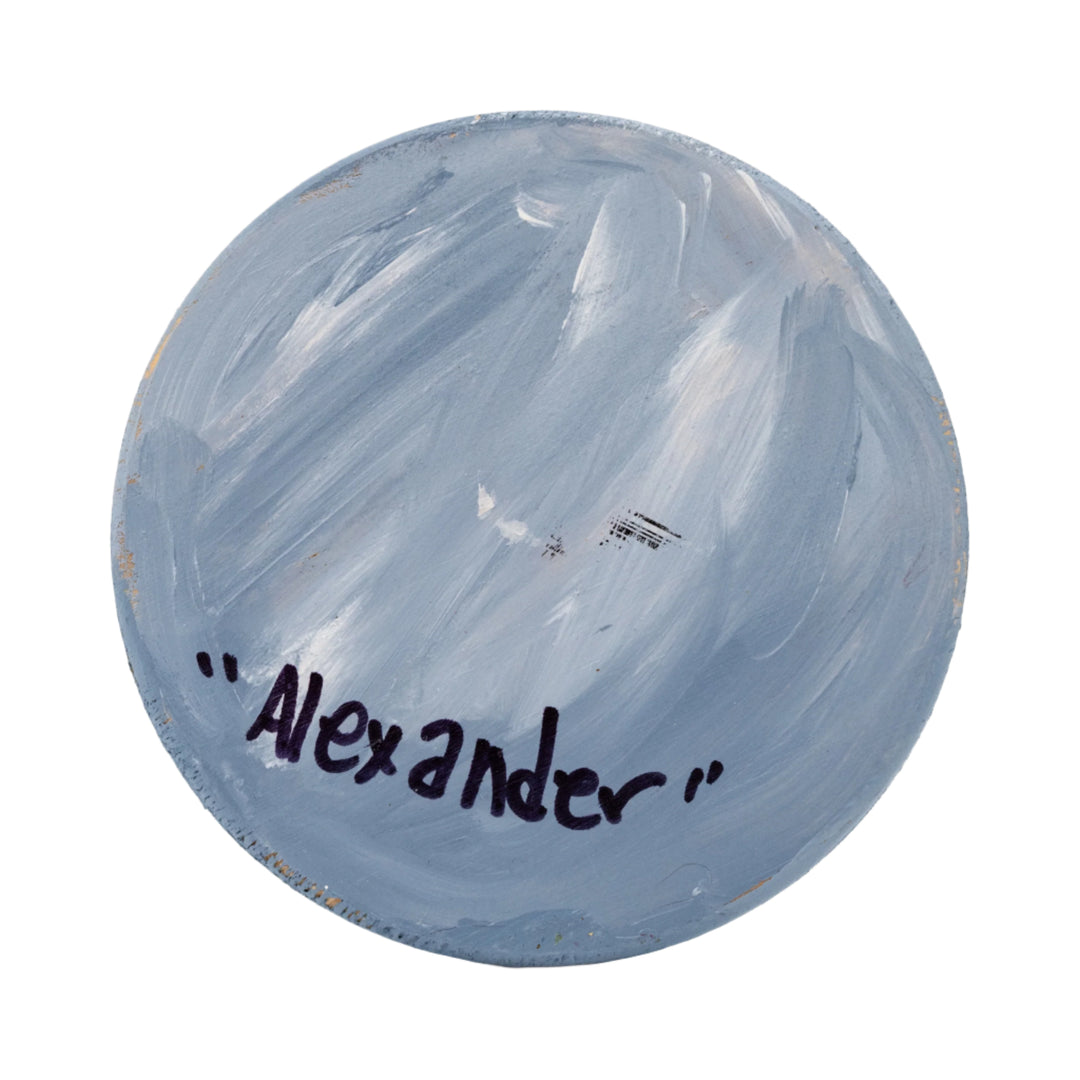 Sandhill Crane Coasters | Wildlife Collection | The Painted Attic