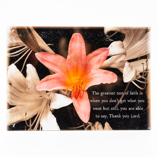 Flat Canvas Art | 5" x 7" | Various Designs | Journey West Photographer