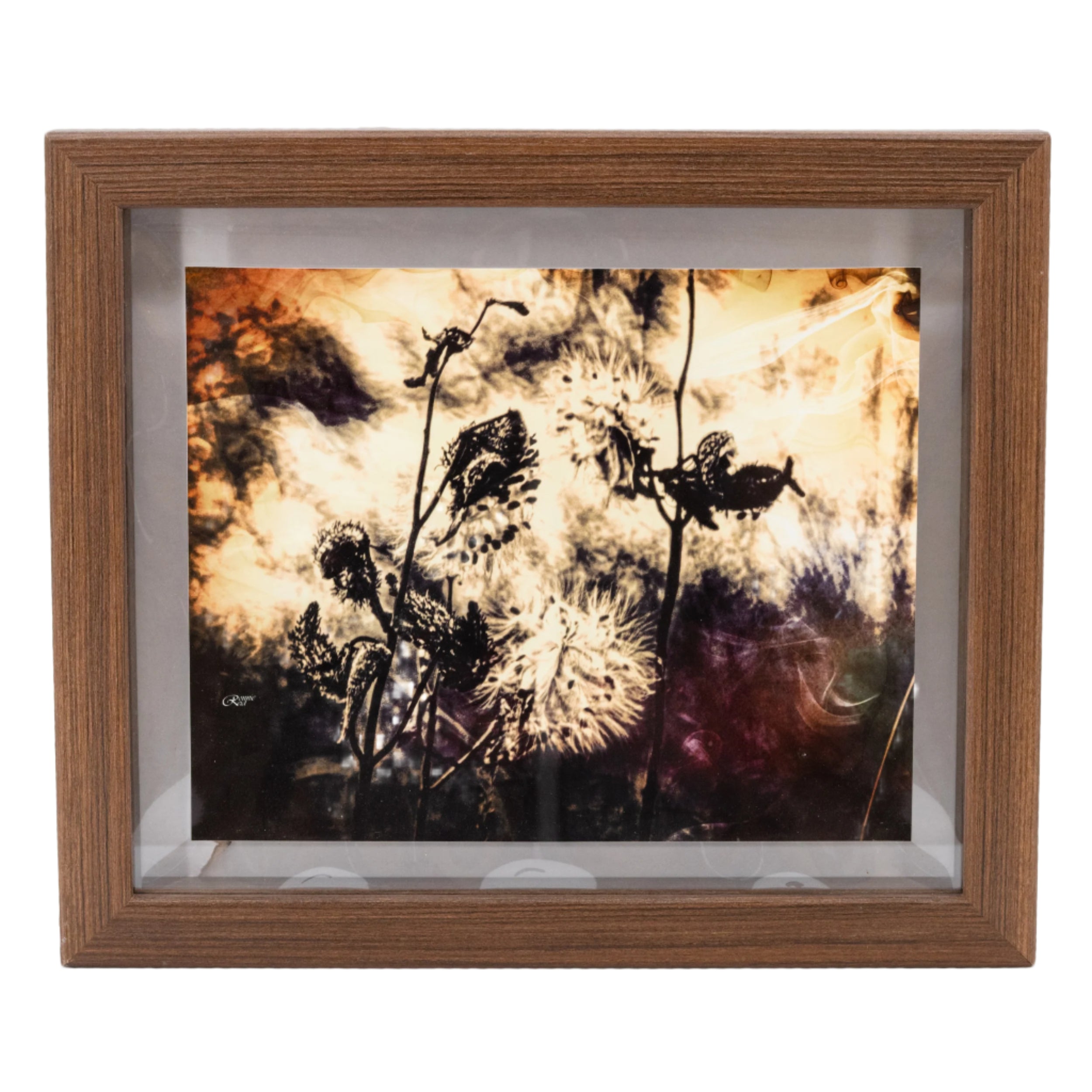 Framed artwork of flowers with a wooden frame on a white background