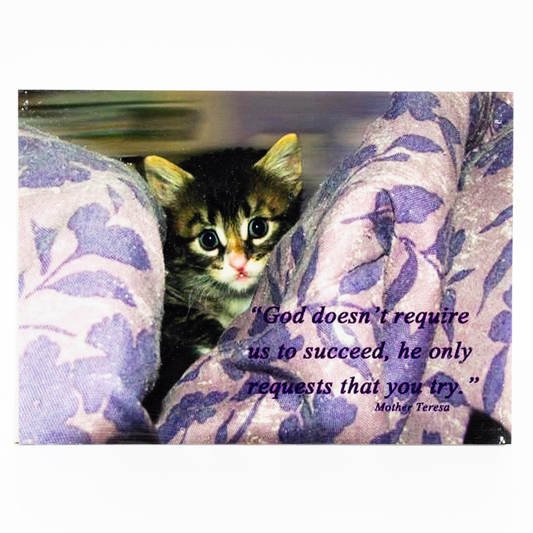 Flat Canvas Art | 5" x 7" | Various Designs | Journey West Photographer