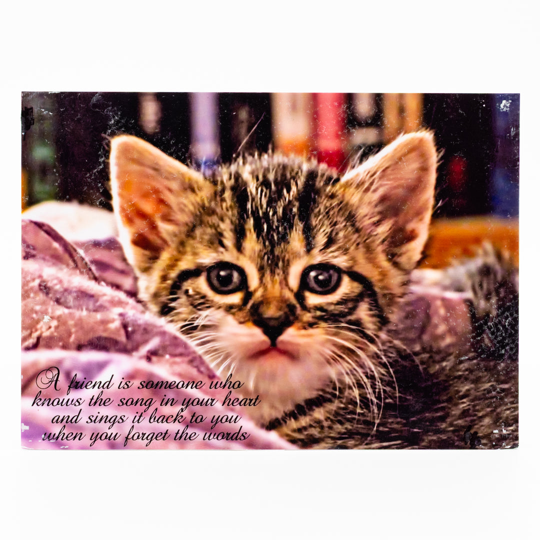 Flat Canvas Art | 5" x 7" | Various Designs | Journey West Photographer