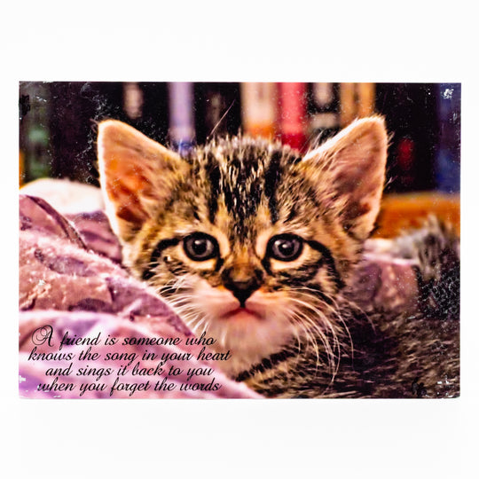 Flat Canvas Art | 5" x 7" | Various Designs | Journey West Photographer