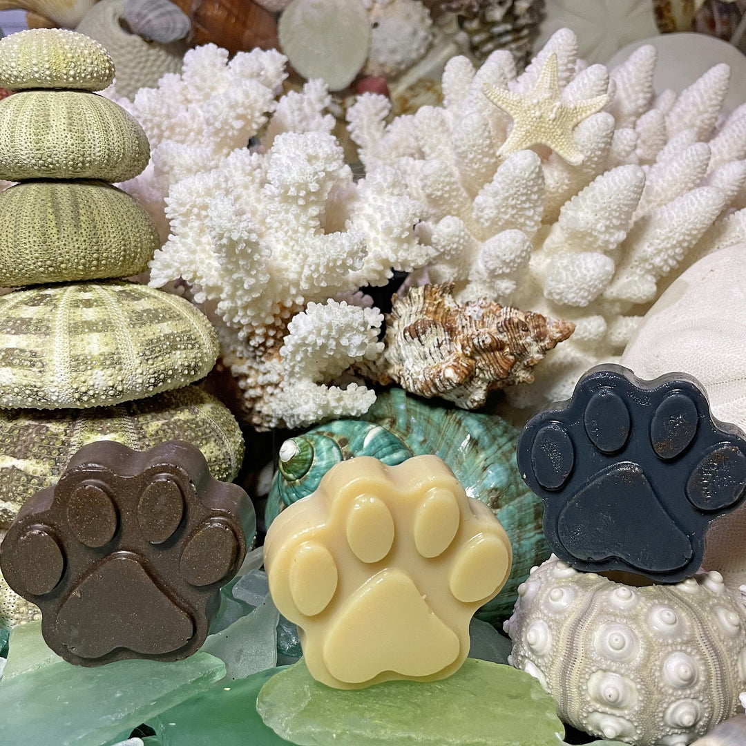 Three paw-shaped soaps on a decorative background with corals and shells