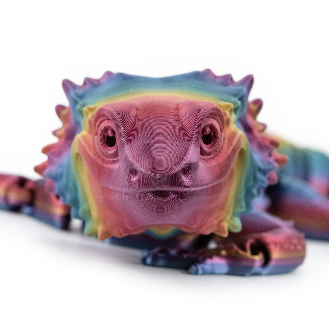 Dark Rainbow Lizard