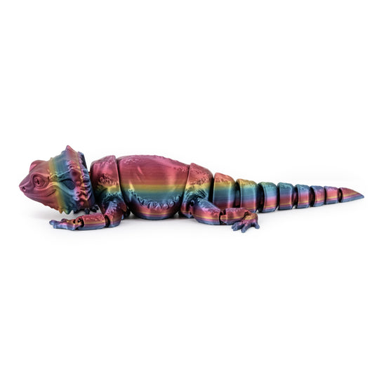 Dark Rainbow Lizard