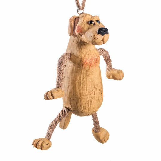 Dog-shaped toy with rope on a white background