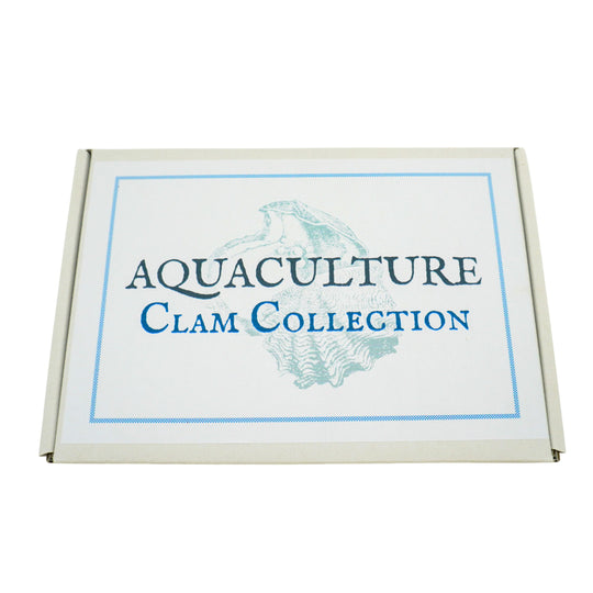 Clam Collection Box | Aquaculture | By The Book Games
