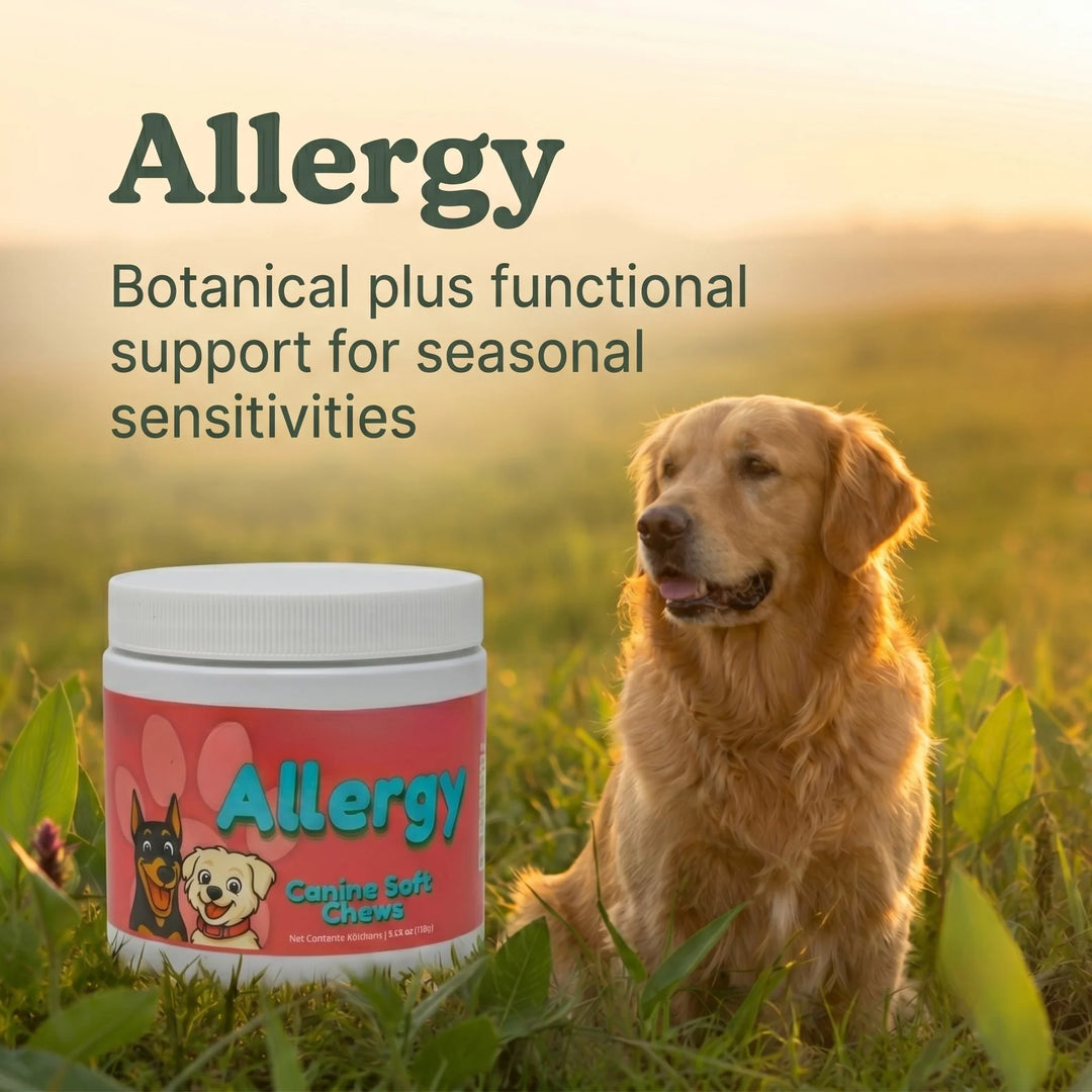 Dog sitting in a field with a jar of 'Allergy' canine soft chews in the foreground.