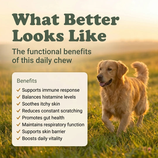 Dog standing in a field with text about the benefits of a daily chew product.