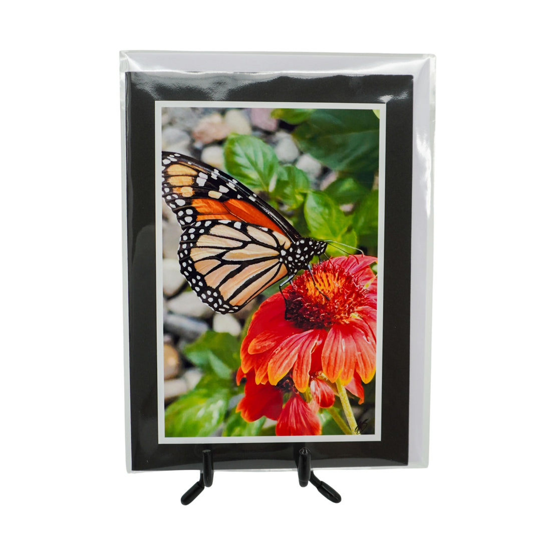 Black Greeting Card | Multiple Designs | KJ Made