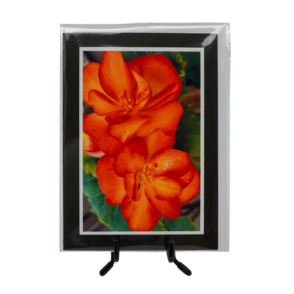 Black Greeting Card | Multiple Designs | KJ Made