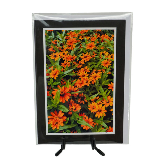 Black Greeting Card | Multiple Designs | KJ Made