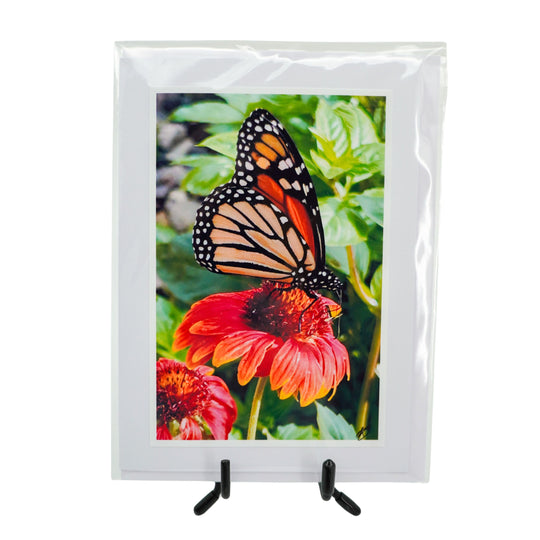 White Greeting Card | Mutliple Designs | KJ Made