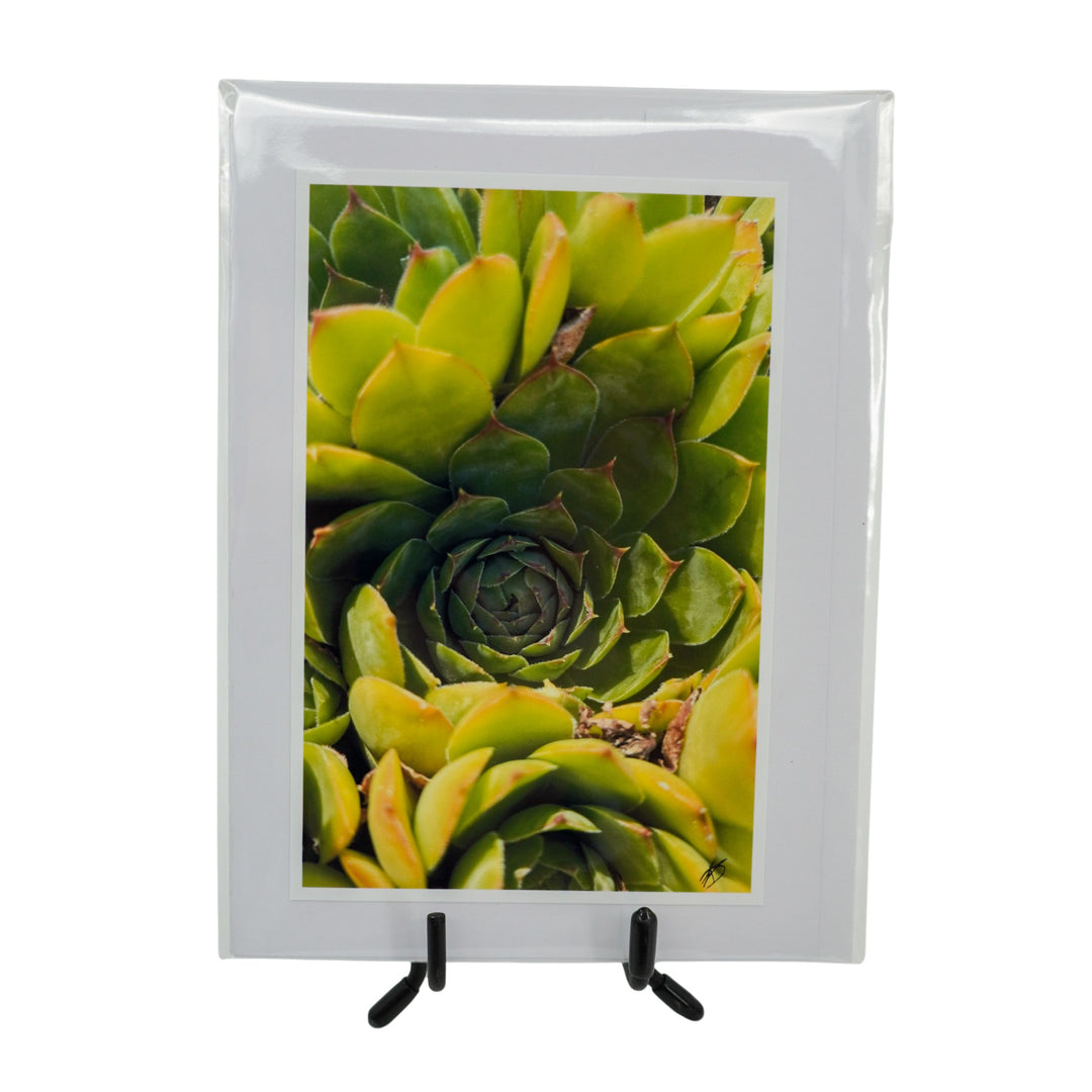 White Greeting Card | Mutliple Designs | KJ Made