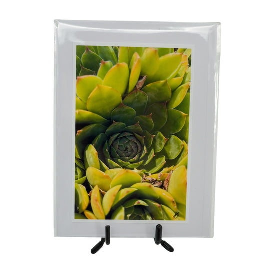 White Greeting Card | Mutliple Designs | KJ Made