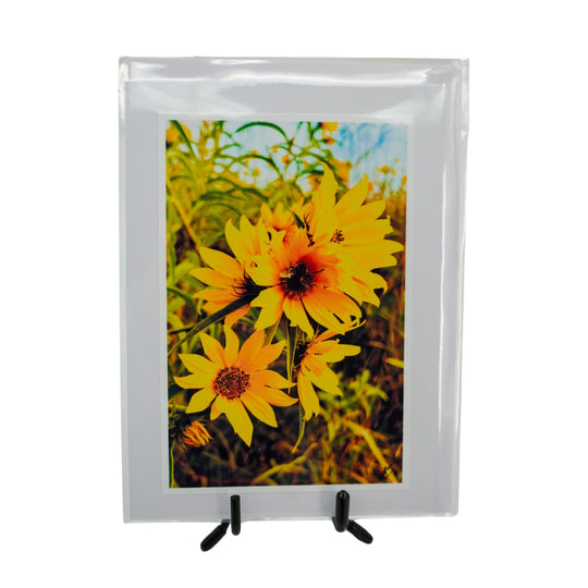 White Greeting Card | Mutliple Designs | KJ Made