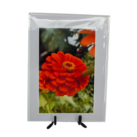 White Greeting Card | Mutliple Designs | KJ Made