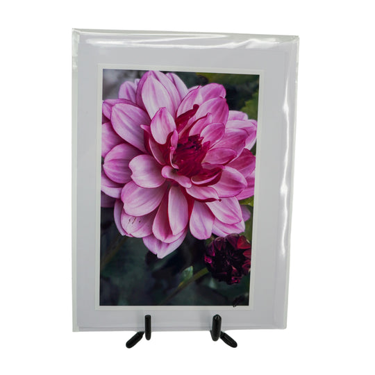 White Greeting Card | Mutliple Designs | KJ Made