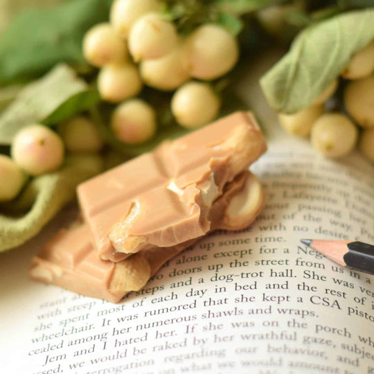 Chocolate bars on an open book with greenery in the background