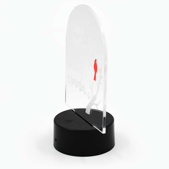Customizable LED Lighted Memorial Plaque | Create Your Own | Glowing Creation