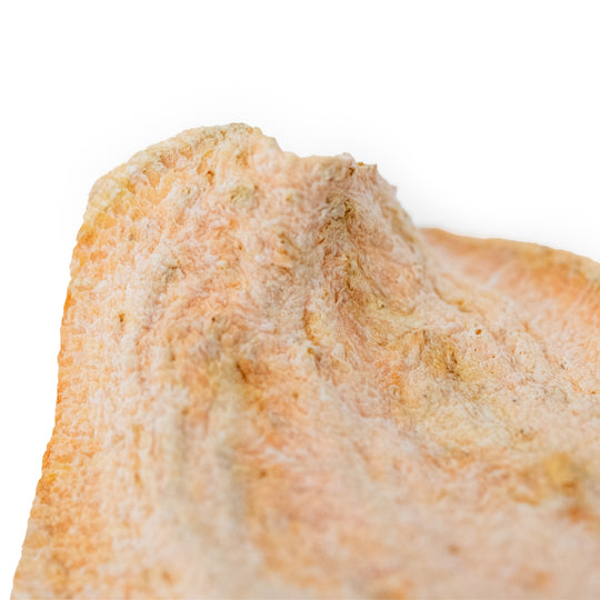 Close up of sweet potato chip