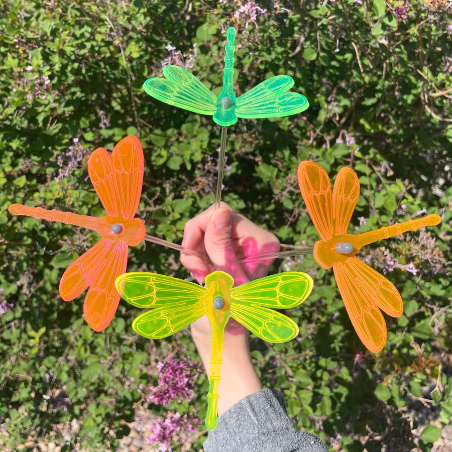 Orange, Yellow, Pink, Green Dragonflies being held in hand