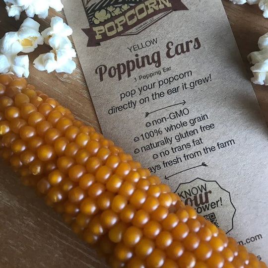Corn on the cob with a 'Three Day Popcorn' label surrounded by popcorn kernels.
