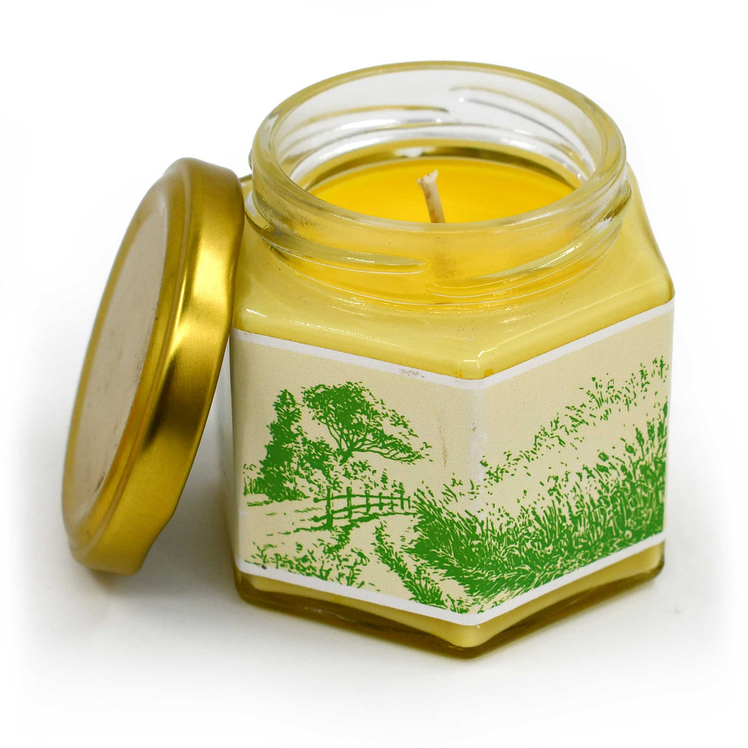 Fresh Outdoor Scented Candle | Multiple Sizes | Blended Light