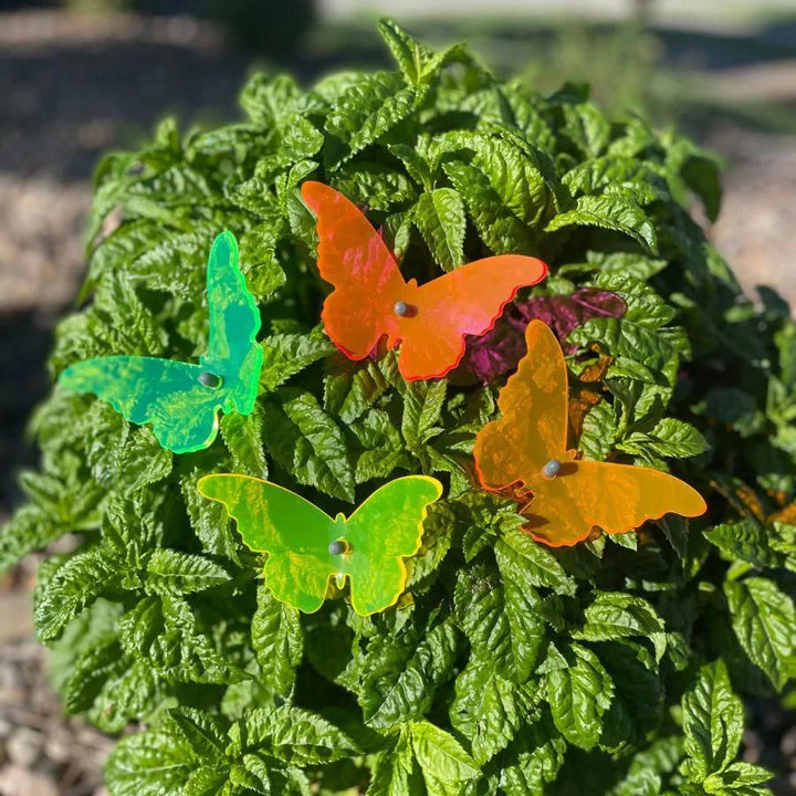 A four pack of glowing butterflies in a bush. Colors: Pink, Orange, Yellow, and Green