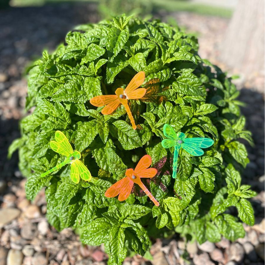 A four pack of glowing dragonflies in a bush. Colors: Orange, Green, Pink, and Yellow