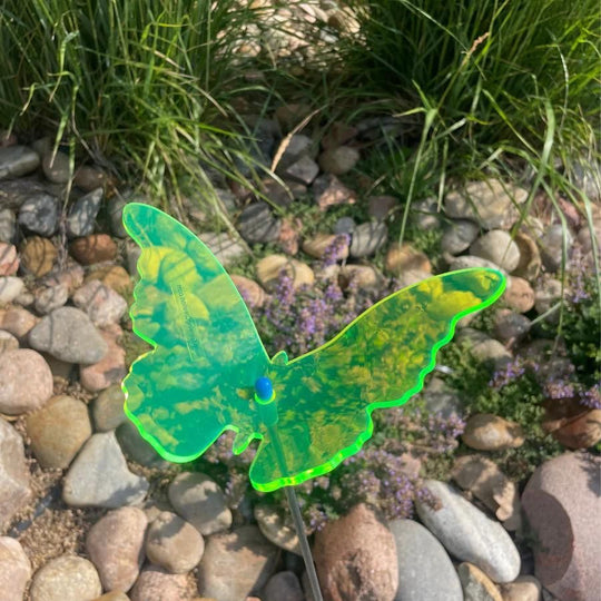 A green glowing butterfly in rocks