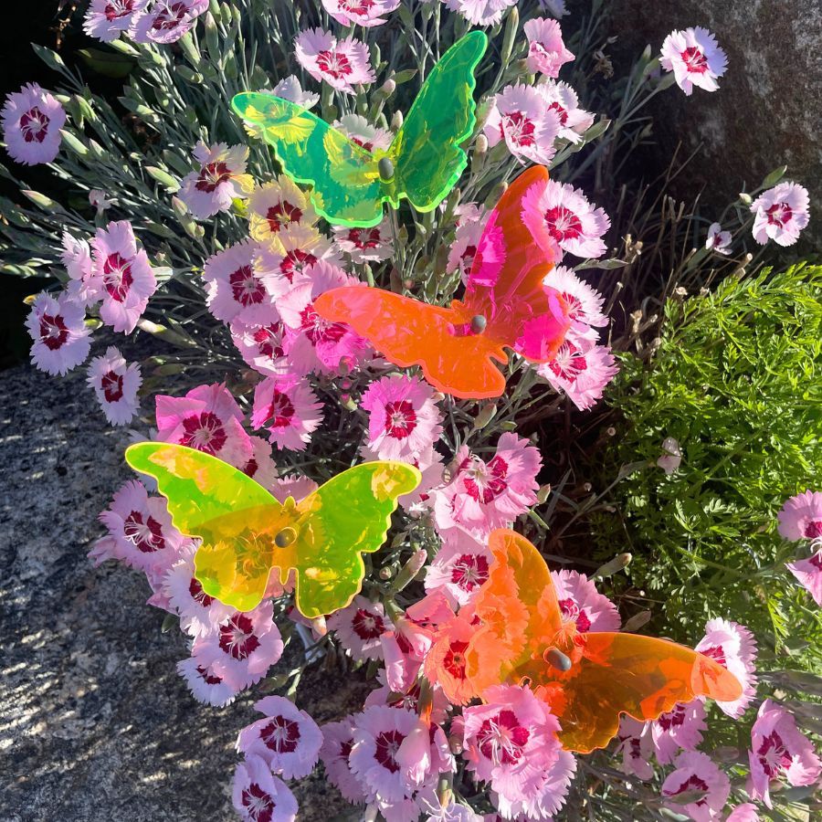 A four pack of glowing butterflies in flowers. Colors: Green, Pink, Yellow, and Orange