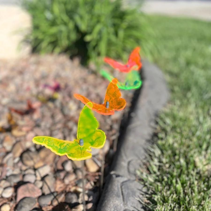 A four pack of glowing butterflies in rocks. Colors: Pink, Green, Orange, Yellow