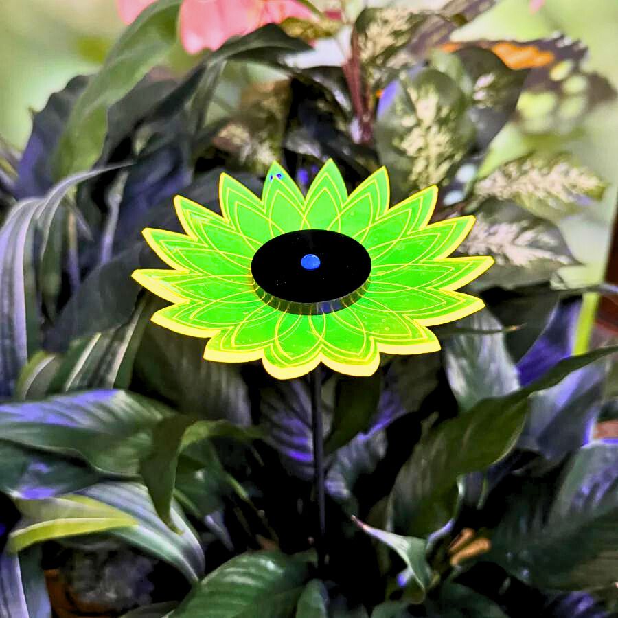 A green glowing sunflower in leaves