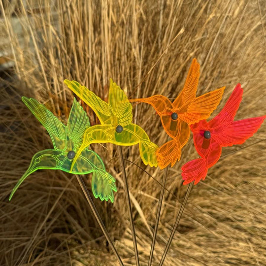 A variety of colorful glowing hummingbirds in grass. Colors: Green, Yellow, Orange, Pink