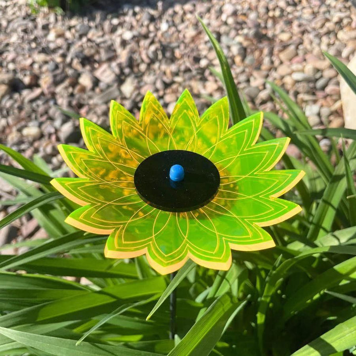 A yellow glowing sunflower in grass