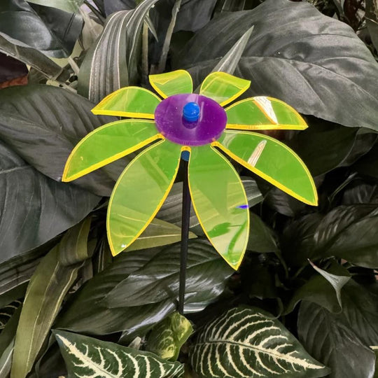 A yellow glowing Daisy in leaves