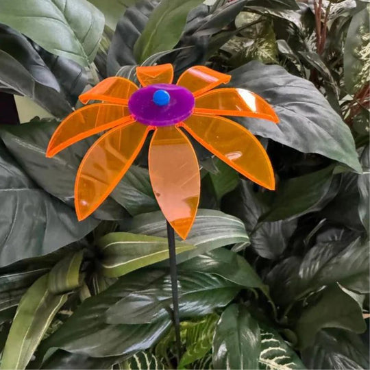 An orange glowing Daisy in leaves