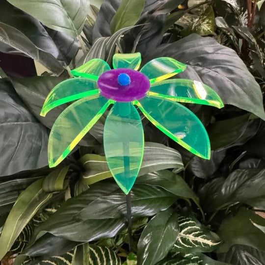 A green glowing Daisy in leaves