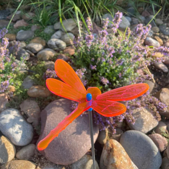 A pink glowing dragonfly on rocks