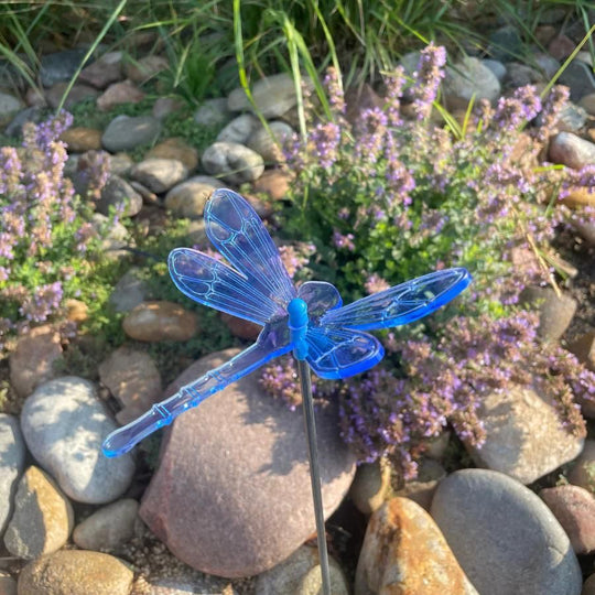 A blue glowing dragonfly on rocks