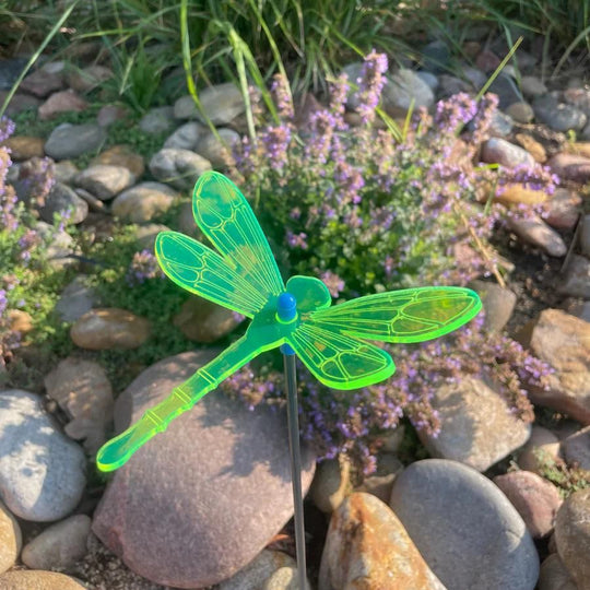 A green glowing dragonfly on rocks