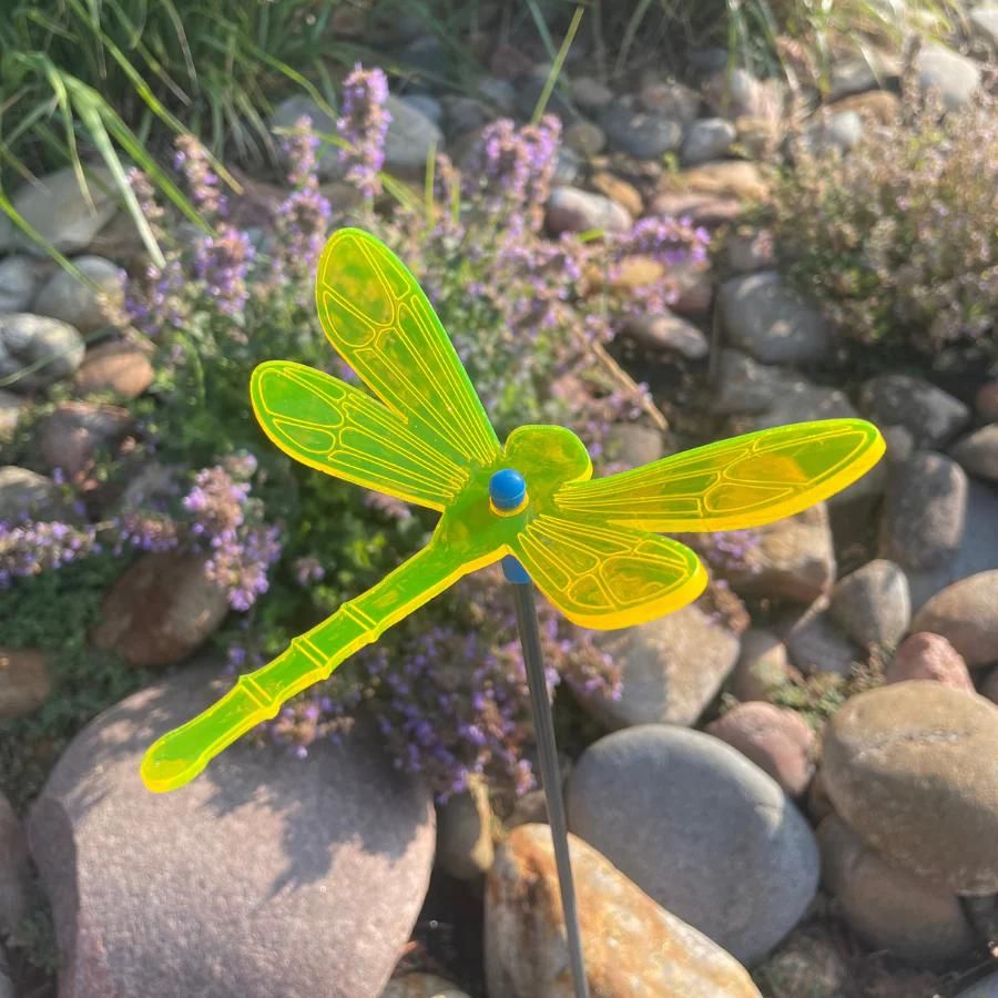 A yellow glowing dragonfly on rocks