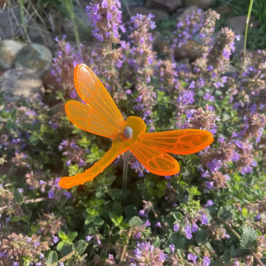 An orange glowing dragonfly in flowers