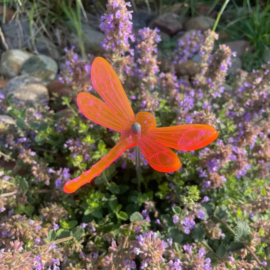 A pink glowing dragonfly in flowers