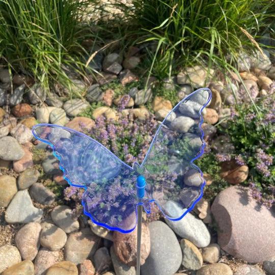 A blue glowing butterfly in rocks