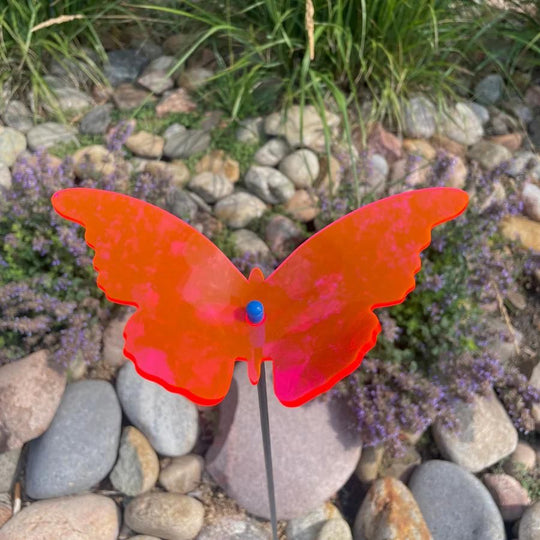 A pink glowing butterfly in rocks